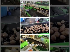 آلة تنظيف واختيار الفاكهة