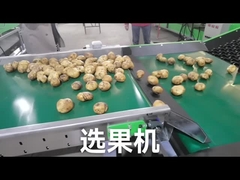 تخصيص مصنف خضروات الفاكهة