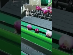 تخصيص مصنف خضروات الفاكهة