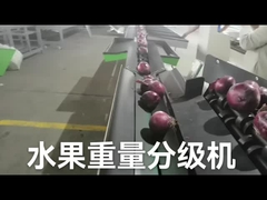 آلة فرز ووزن إلكترونية أوتوماتيكية للفاكهة