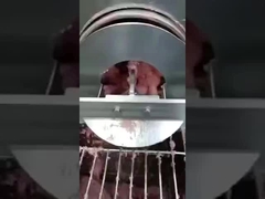 حزام الفصل بين عظام الأسماك من البلورات المعدنية ، حزام الفصل بين عظام الأسماك