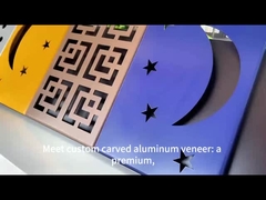 ملفات الألومنيوم المنحوتة الفريدة المخصصة للمشاريع المعمارية الحديثة