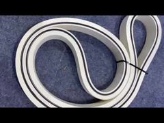 الحزام الناقل للفصل بين عظام الأسماك المطاطية