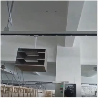 الاسم